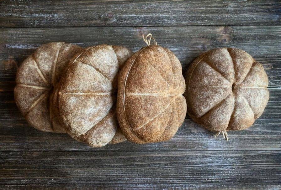 2000-year-old bread in Pompeii: Farrell Monaco, a culinary archaeologist, tells the story
